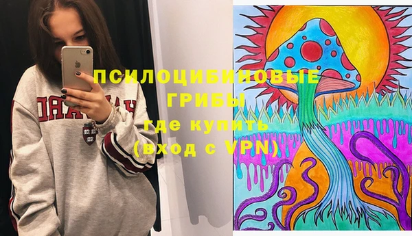 спиды Абаза