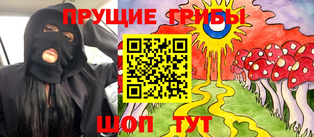 Кохма  Псилоцибиновые грибы Magic Shrooms  Вход с VPN 